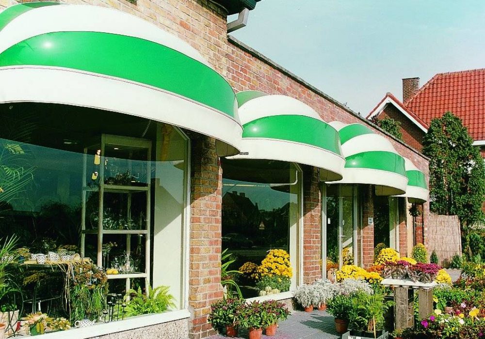 wet look dutchy canopies in white and green stripe